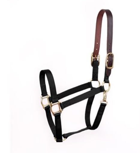 Safety Halter - Black