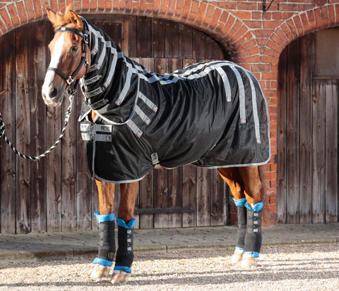 MageiTech Horse Therapy Rug