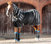 MageiTech Horse Therapy Rug